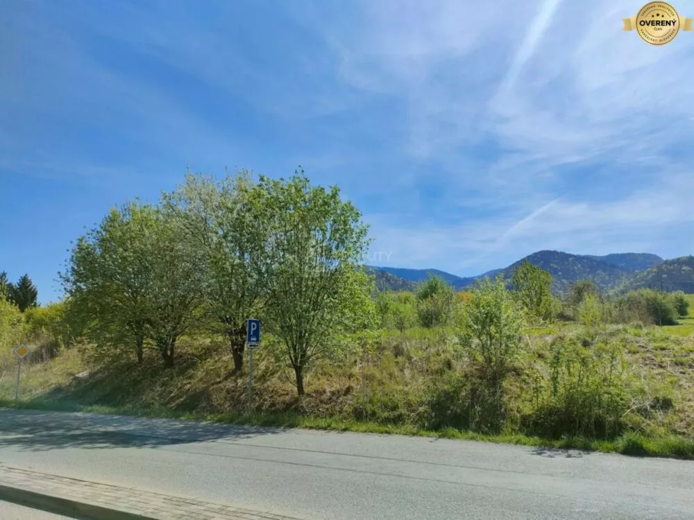 Komerčná zóna na predaj 4000m2, Strečno, Strečno, 134016_4