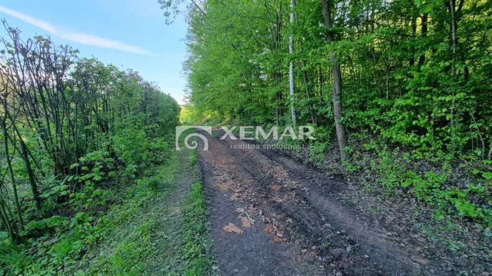 Záhrada na predaj 623m2, Srnková, Banská Bystrica, 138544_5