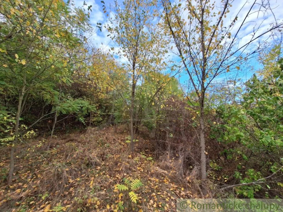 Záhrada na predaj 2043m2, Chľaba, 132437_7