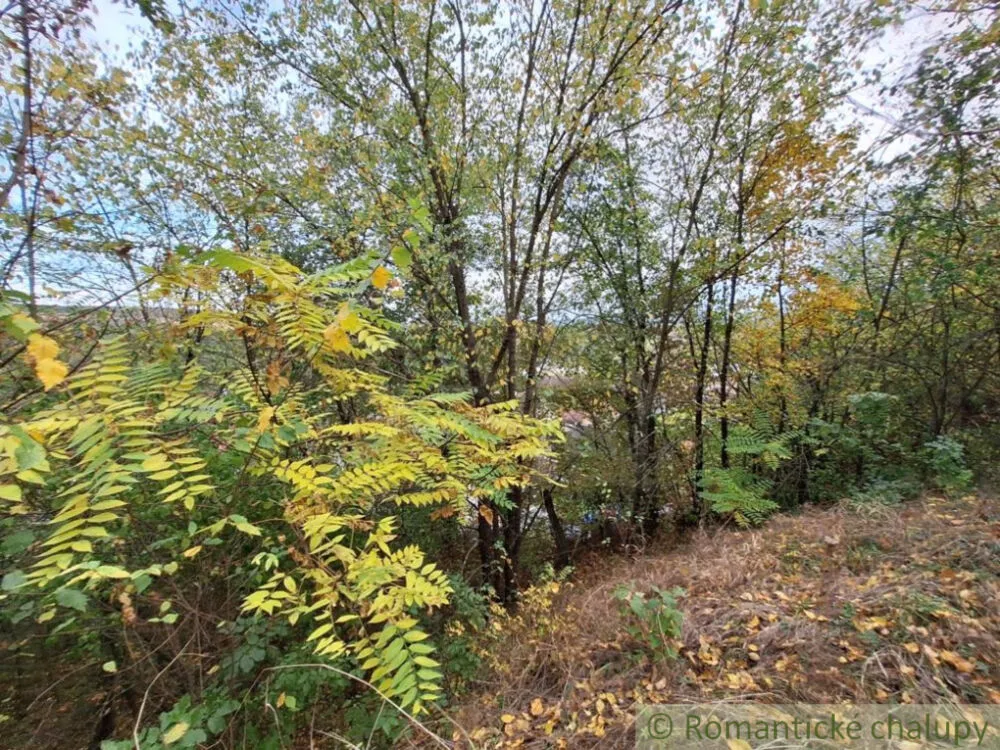 Záhrada na predaj 2043m2, Chľaba, 132437_8