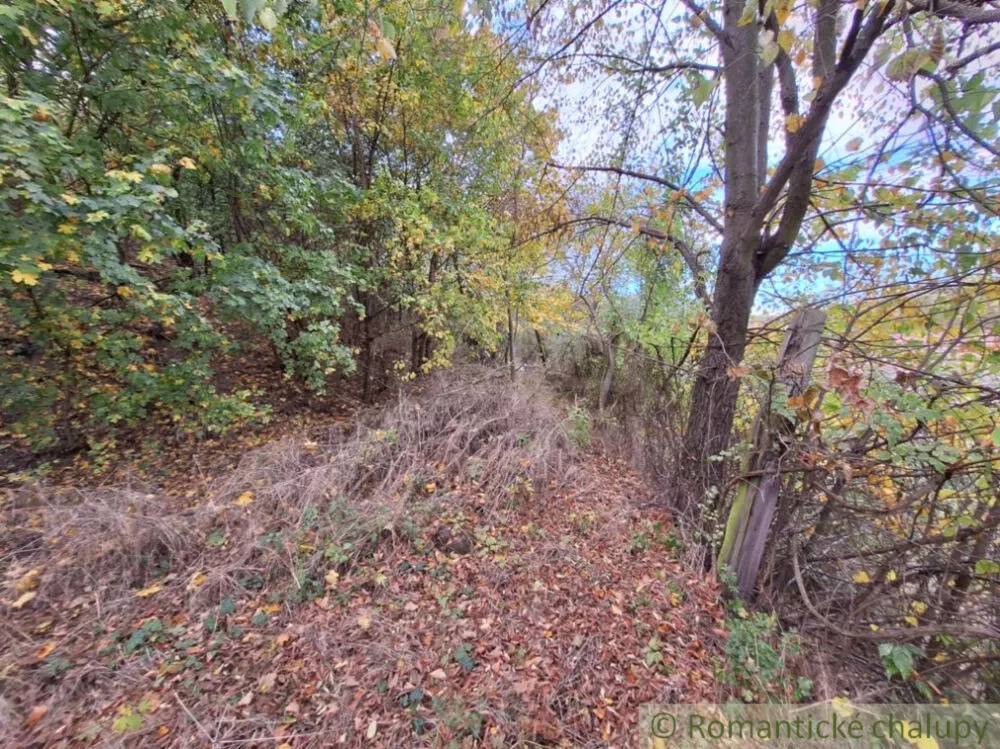 Záhrada na predaj 2043m2, Chľaba, 132437_9