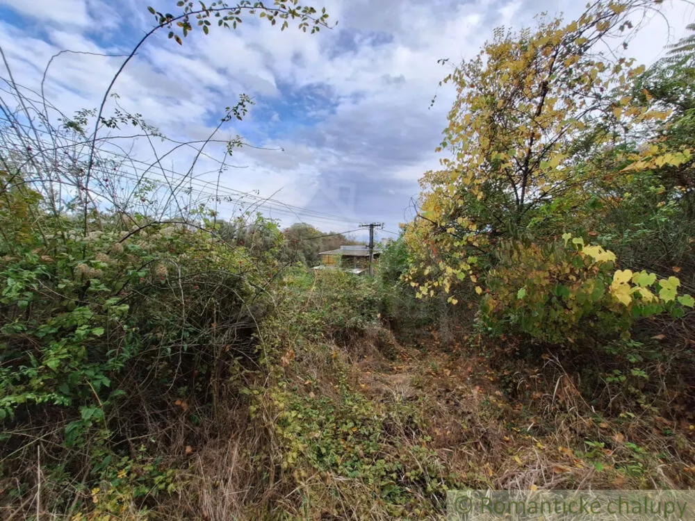 Záhrada na predaj 2043m2, Chľaba, 132437_10