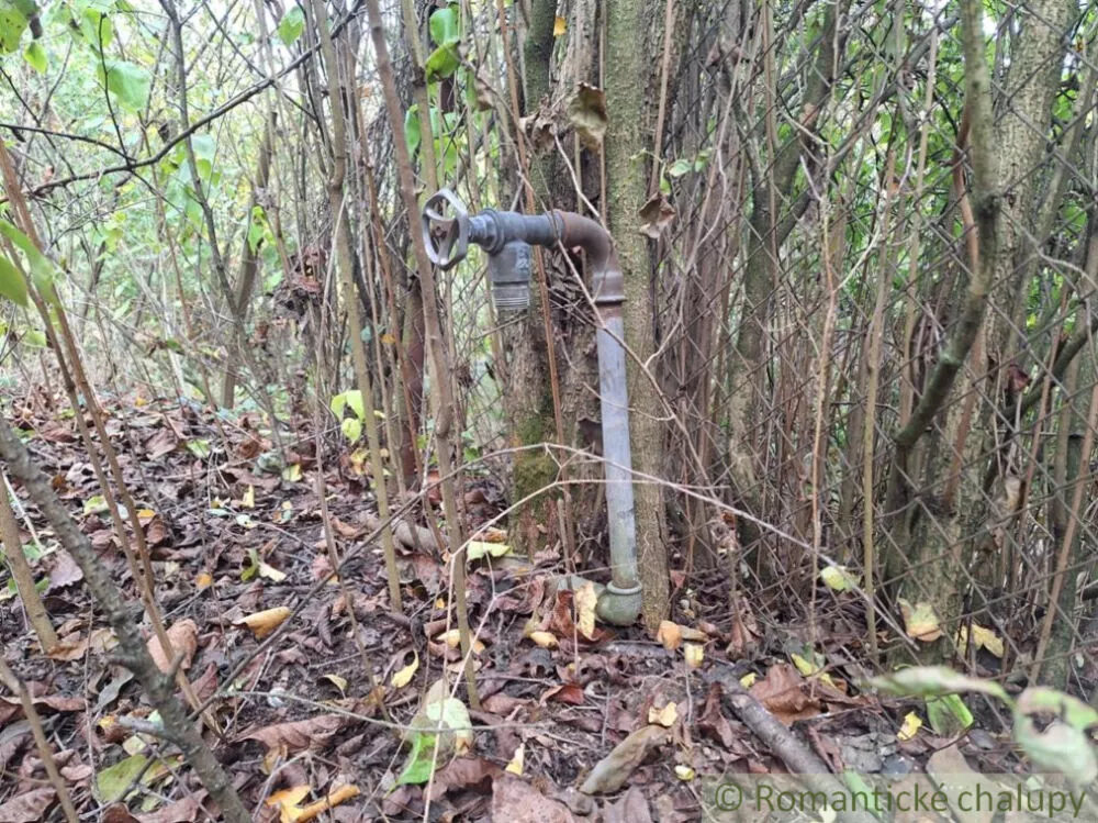 Záhrada na predaj 2043m2, Chľaba, 132437_11
