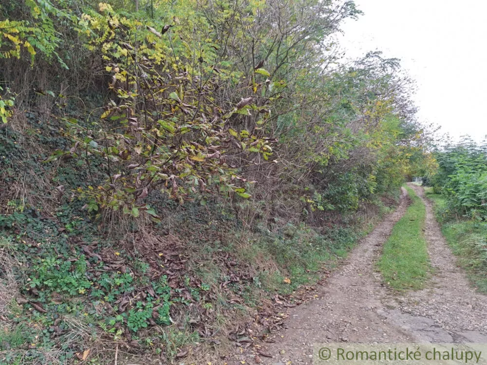 Záhrada na predaj 2043m2, Chľaba, 132437_13