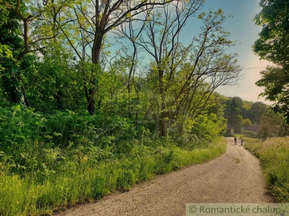 Záhrada na predaj 471m2, Šarkan, 107181_0