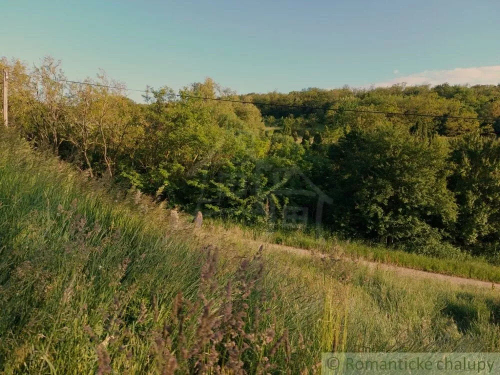 Záhrada na predaj 471m2, Šarkan, 107181_1