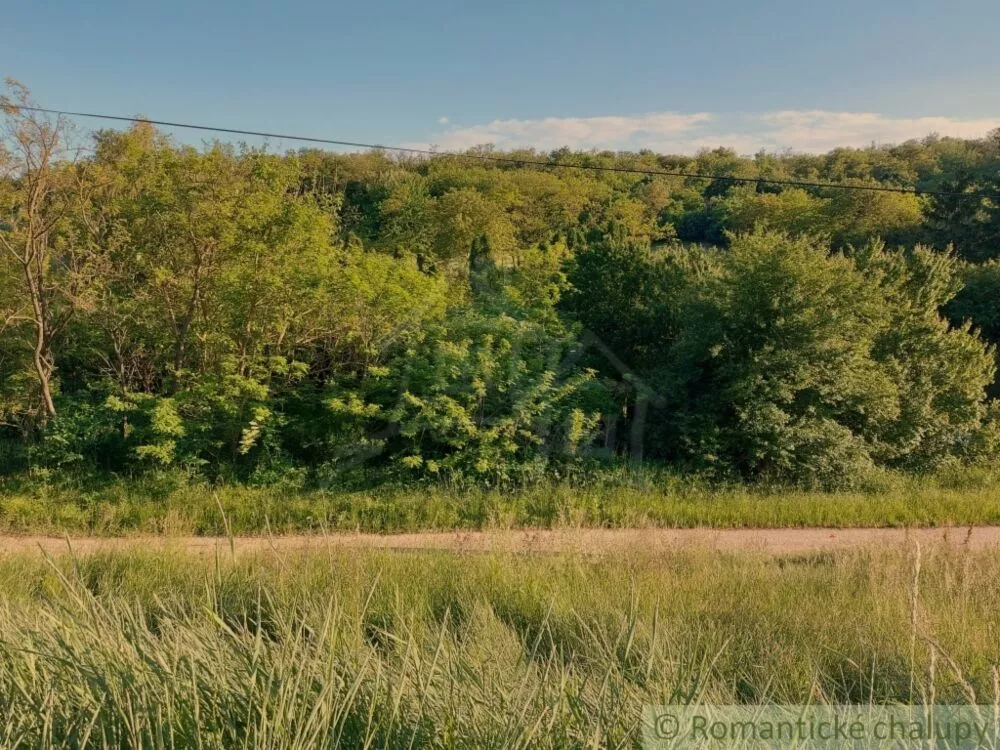 Záhrada na predaj 471m2, Šarkan, 107181_2