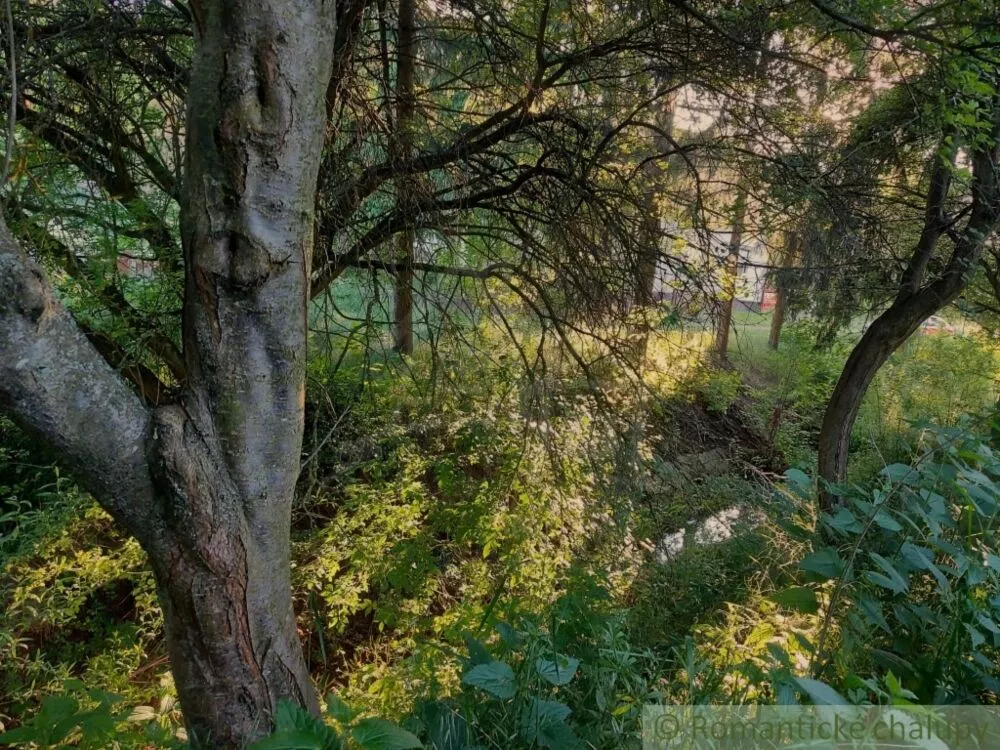 Záhrada na predaj 471m2, Šarkan, 107181_4