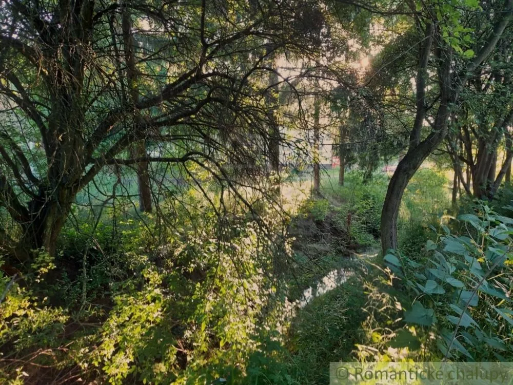 Záhrada na predaj 471m2, Šarkan, 107181_5