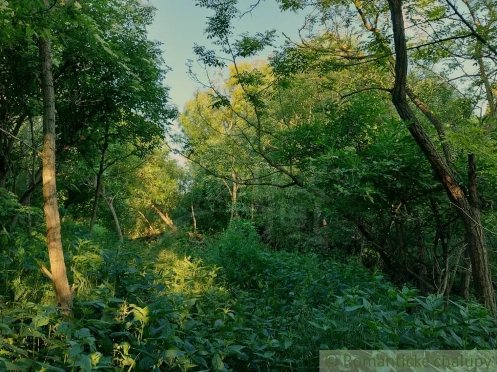 Záhrada na predaj 471m2, Šarkan, 107181_6