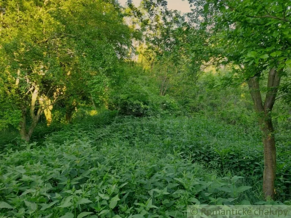 Záhrada na predaj 471m2, Šarkan, 107181_7