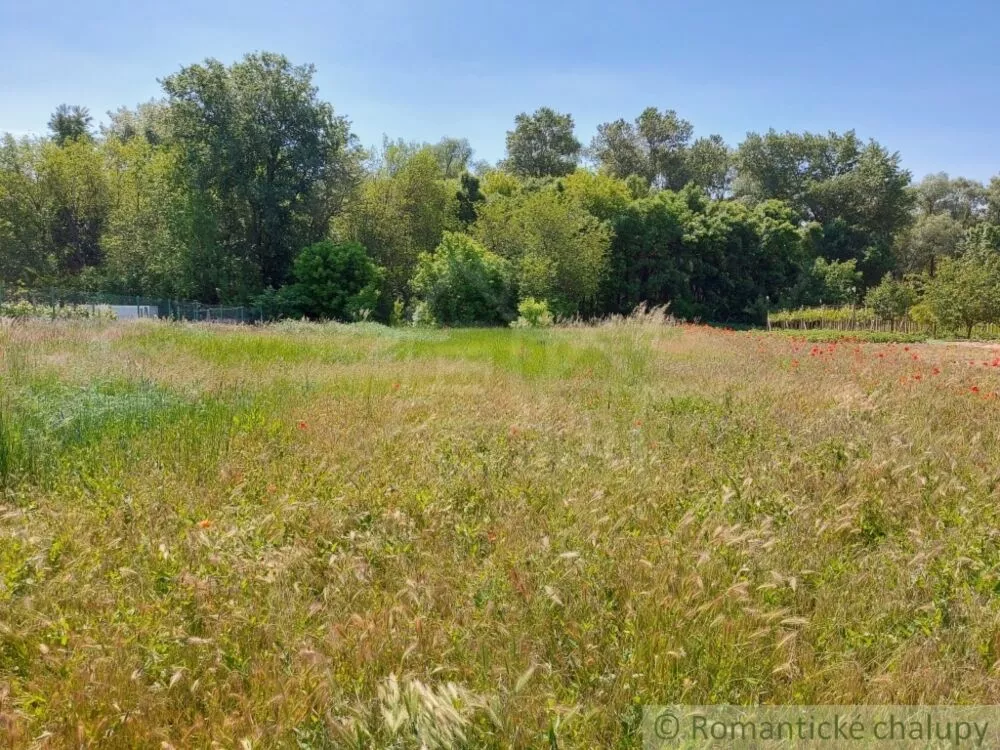 Orná pôda na predaj 1781m2, Radvaň nad Dunajom, 127649_1