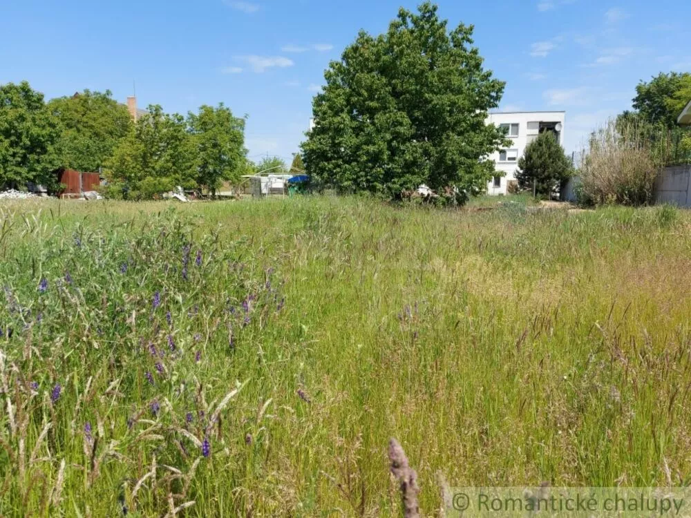 Orná pôda na predaj 1781m2, Radvaň nad Dunajom, 127649_5