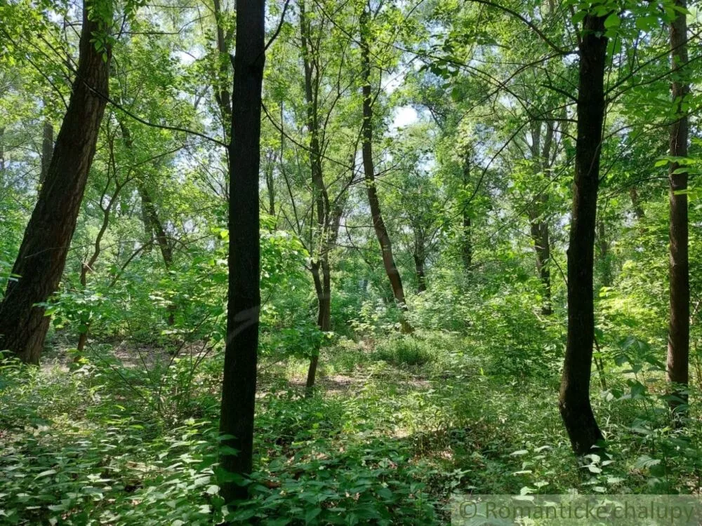 Orná pôda na predaj 1781m2, Radvaň nad Dunajom, 127649_6