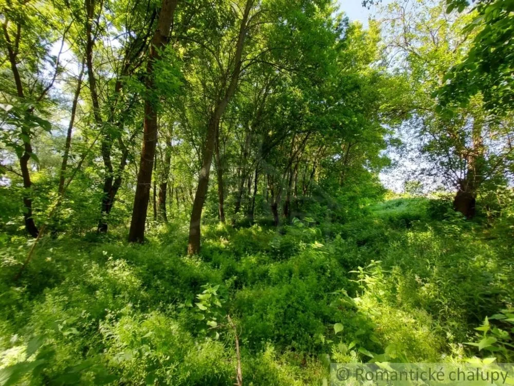 Orná pôda na predaj 1781m2, Radvaň nad Dunajom, 127649_9