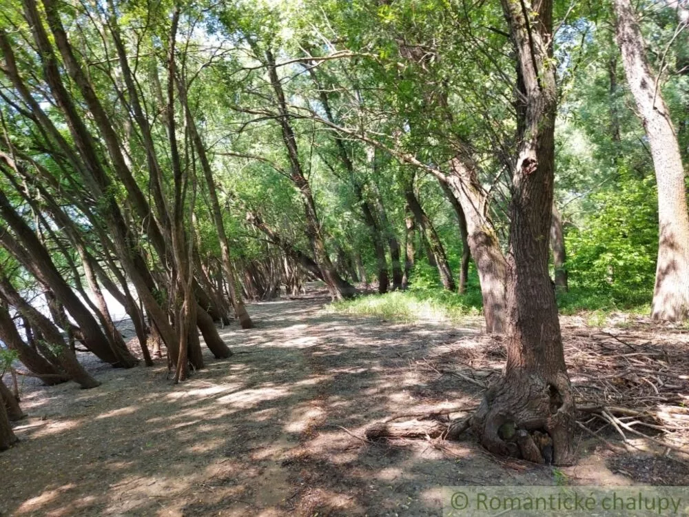 Orná pôda na predaj 1781m2, Radvaň nad Dunajom, 127649_17