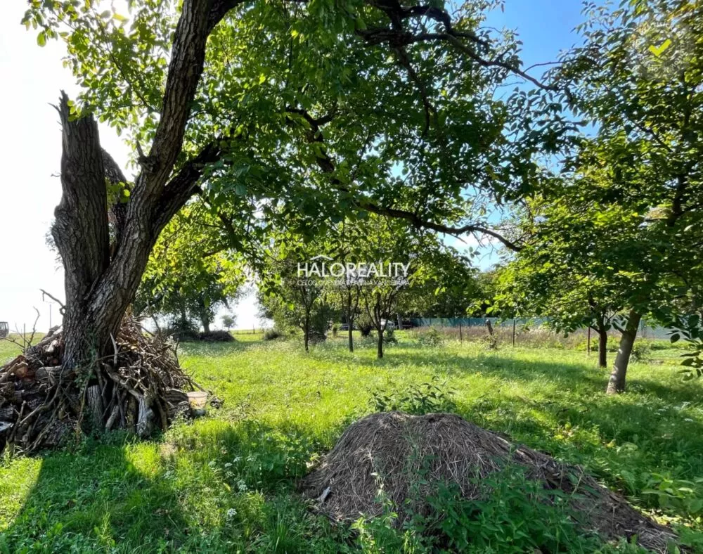 Chata a chalupa na predaj 2780m2, Hontianske Trsťany, 131754_10