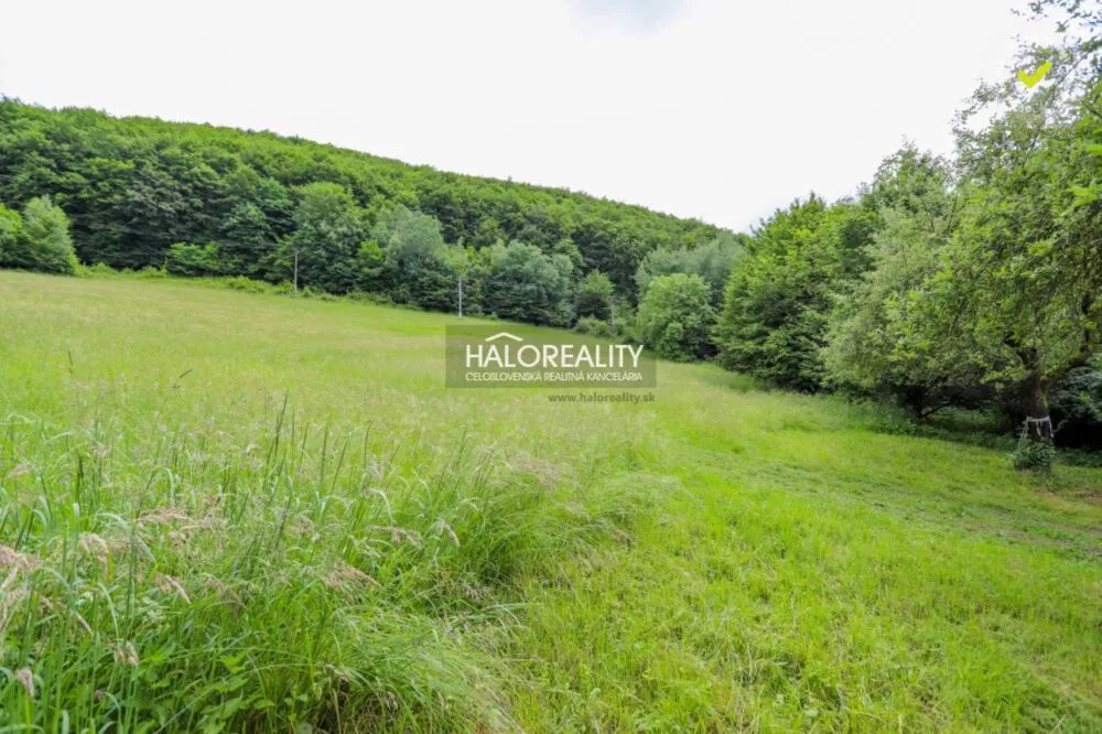 Orná pôda na predaj 2833m2, Považská Bystrica, 140150_3