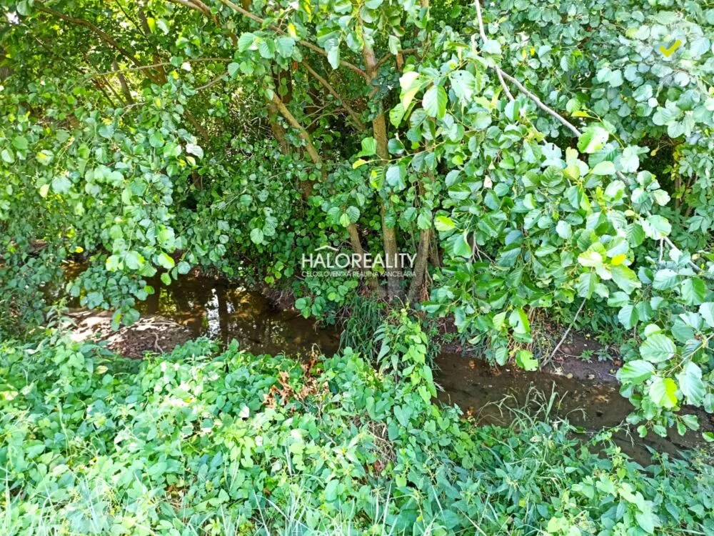 Rodinný dom na predaj 18984m2, Jablonica, 141428_8