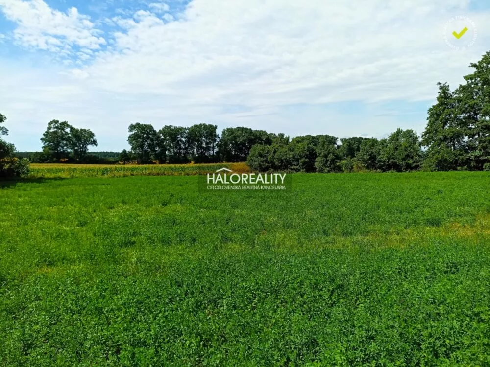 Rodinný dom na predaj 18984m2, Jablonica, 141428_9