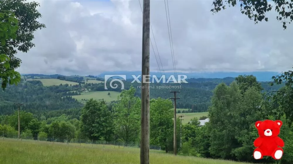 Lesy na predaj 8564m2, Detvianska Huta, 140093_2