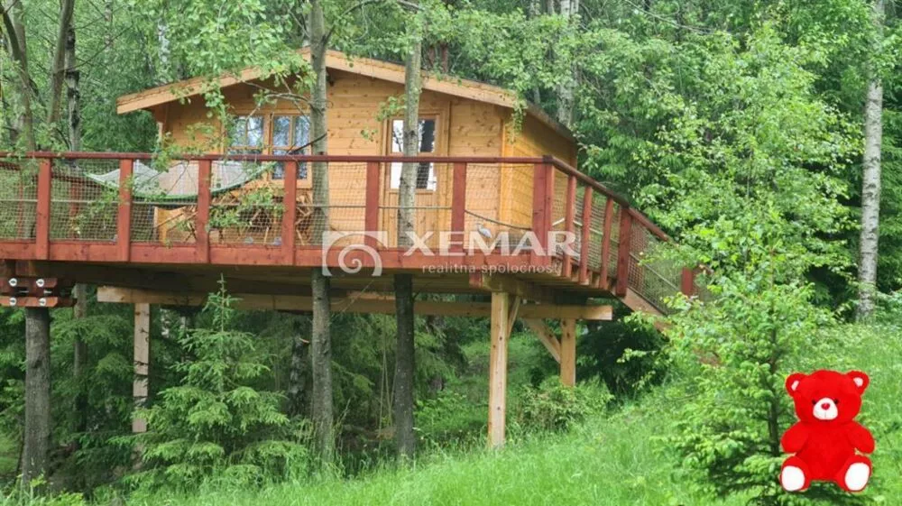 Lesy na predaj 8564m2, Detvianska Huta, 140093_3