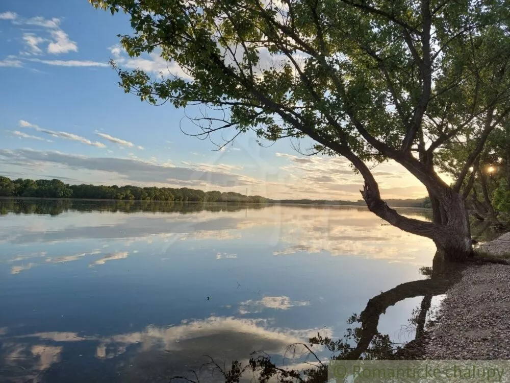 Rodinný dom na predaj 600m2, Moča, 103943_49