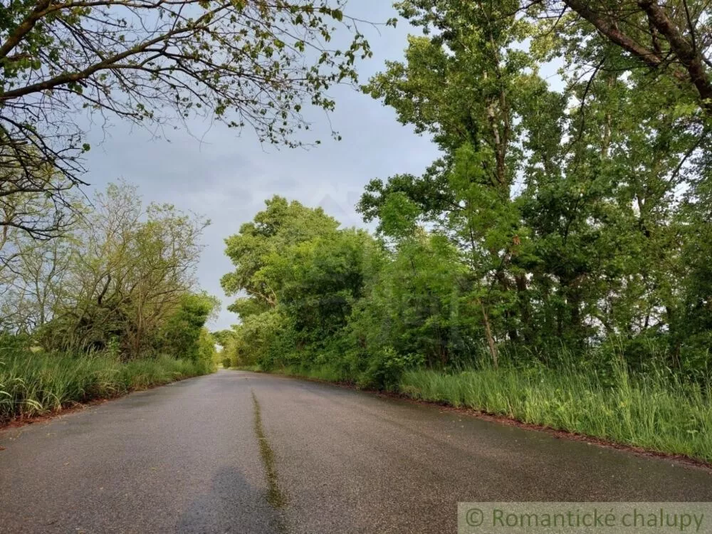 Rodinný dom na predaj 600m2, Moča, 103943_51