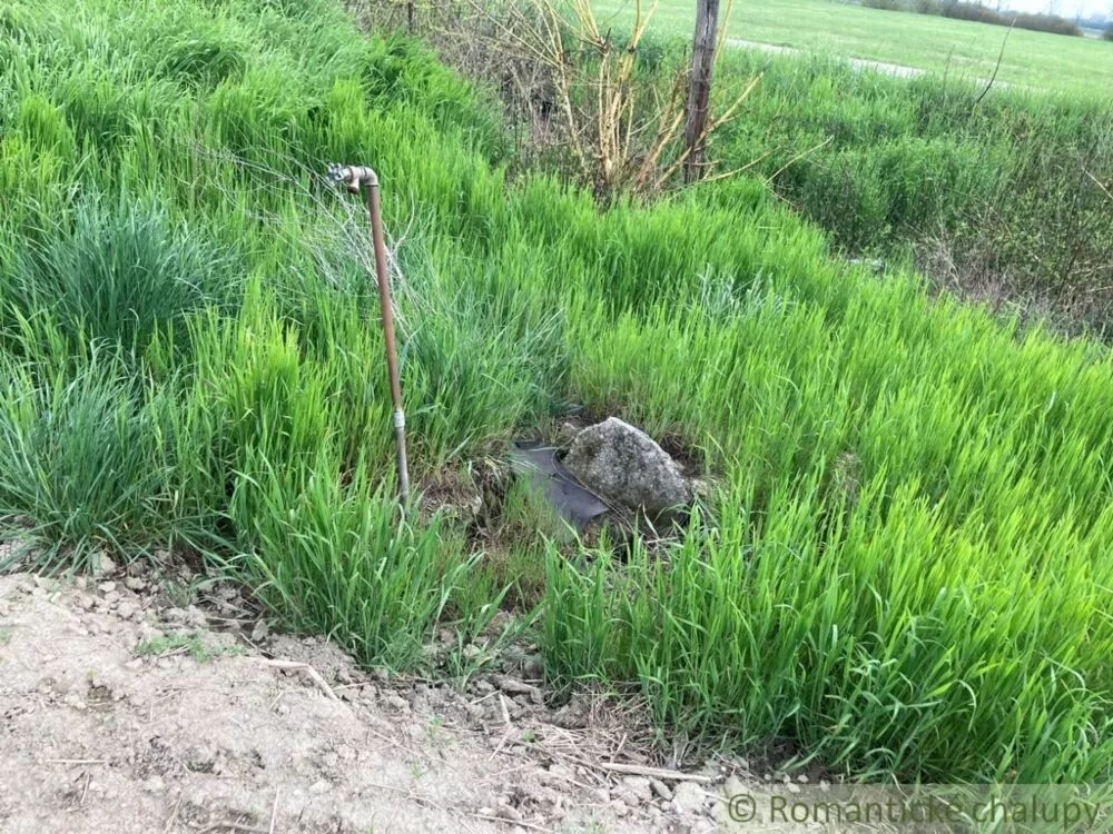 Pozemok pre rod. domy na predaj 3785m2, Martovce, 125543_7