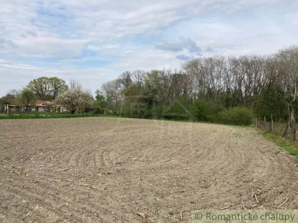 Pozemok pre rod. domy na predaj 3785m2, Martovce, 125543_10