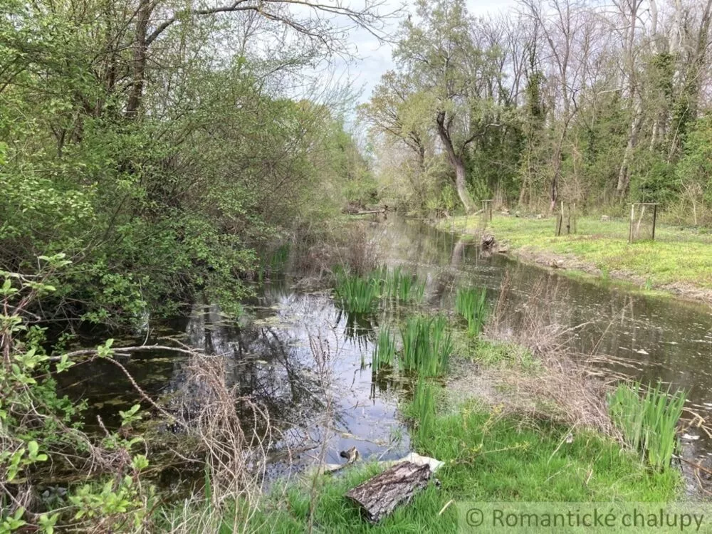 Pozemok pre rod. domy na predaj 3785m2, Martovce, 125543_11