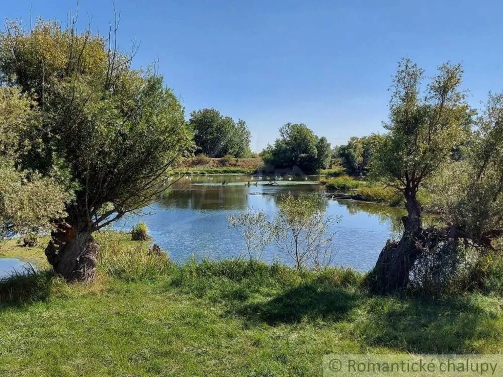 Pozemok pre rod. domy na predaj 3785m2, Martovce, 125543_17