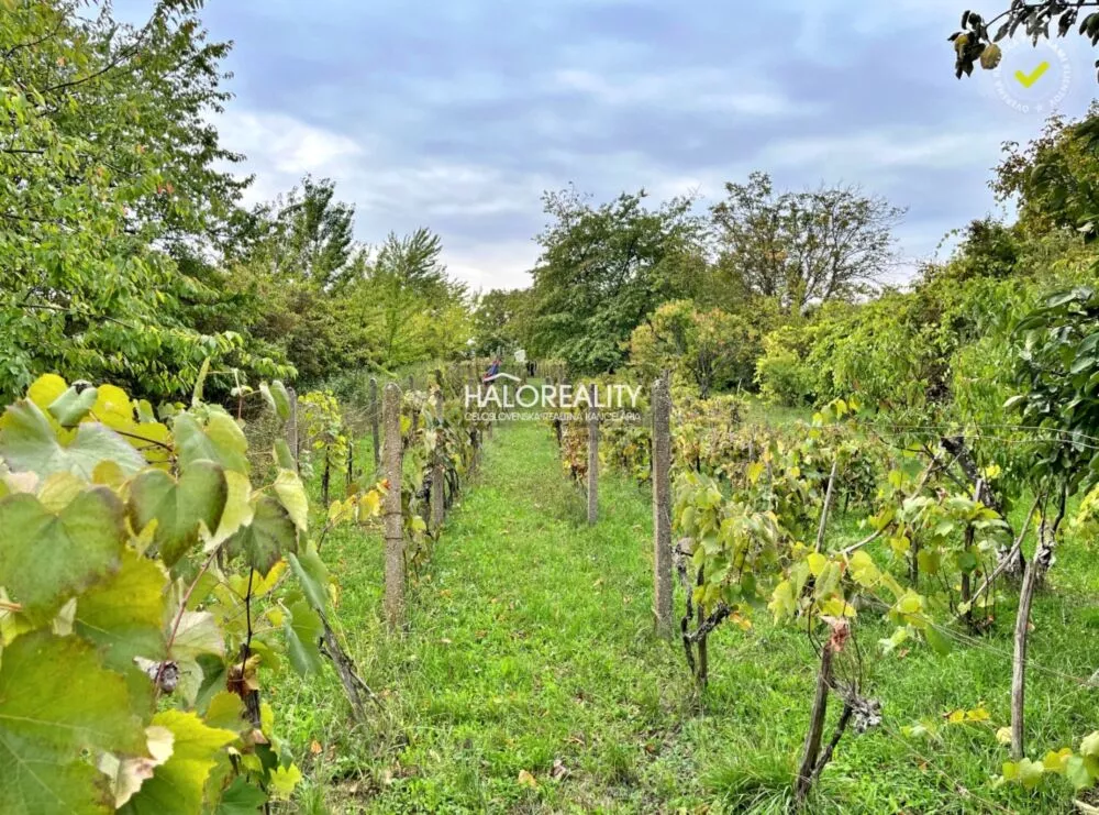 Záhradná chatka na predaj 20m2, Mýtne Ludany, 144902_14