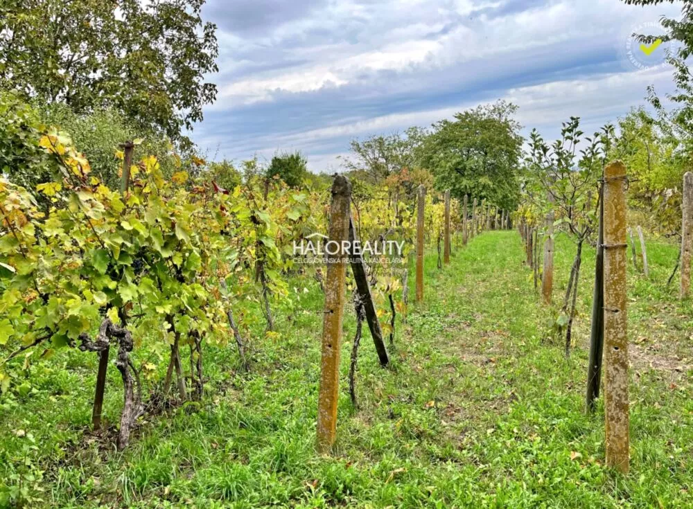 Záhradná chatka na predaj 20m2, Mýtne Ludany, 144902_16