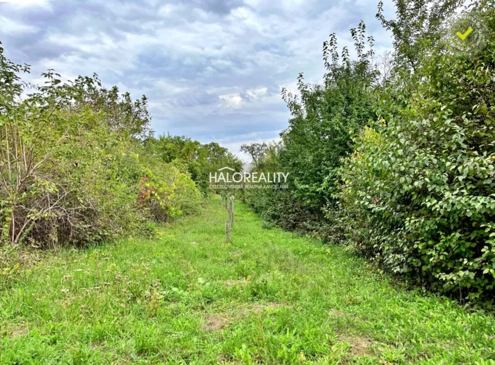 Záhradná chatka na predaj 20m2, Mýtne Ludany, 144902_17