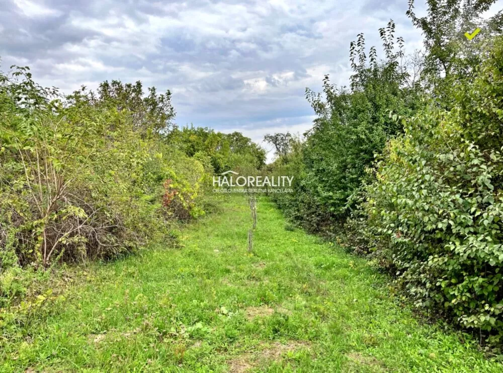 Záhradná chatka na predaj 20m2, Mýtne Ludany, 144902_18