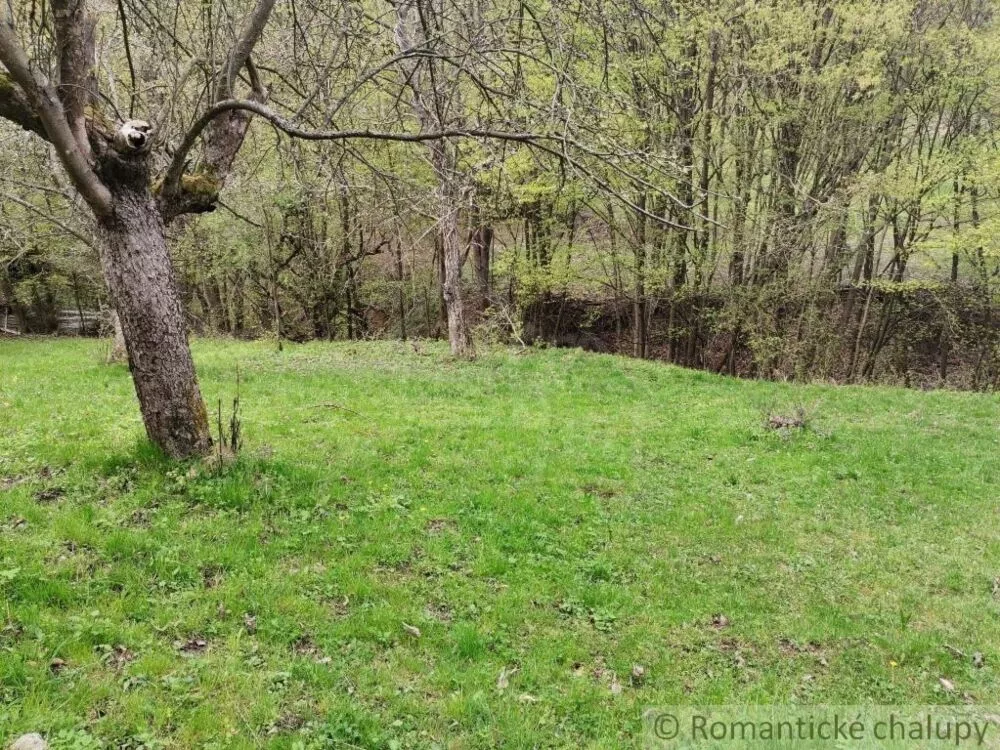 Lúka, pasienok na predaj 1600m2, Žarnovica, 130335_0