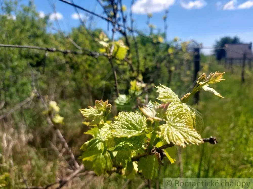 Chata a chalupa na predaj 20m2, Kamenný Most, 131750_40