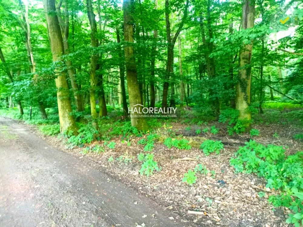 Chata a chalupa na predaj 229m2, Budmerice, 145774_10