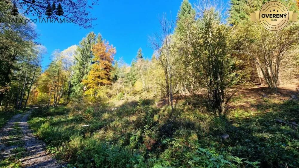 Rekreačný pozemok na predaj 1188m2, Krpáčovo, Dolná Lehota, 146701_4