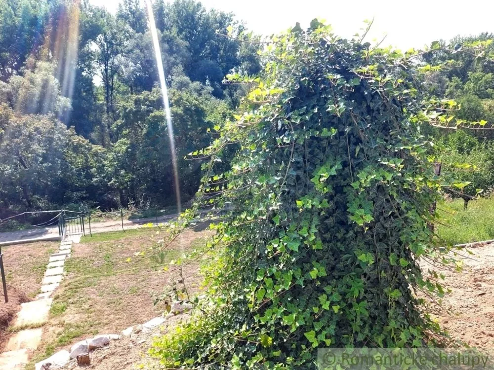 Chata a chalupa na predaj 25m2, Kamenica nad Hronom, 117360_17