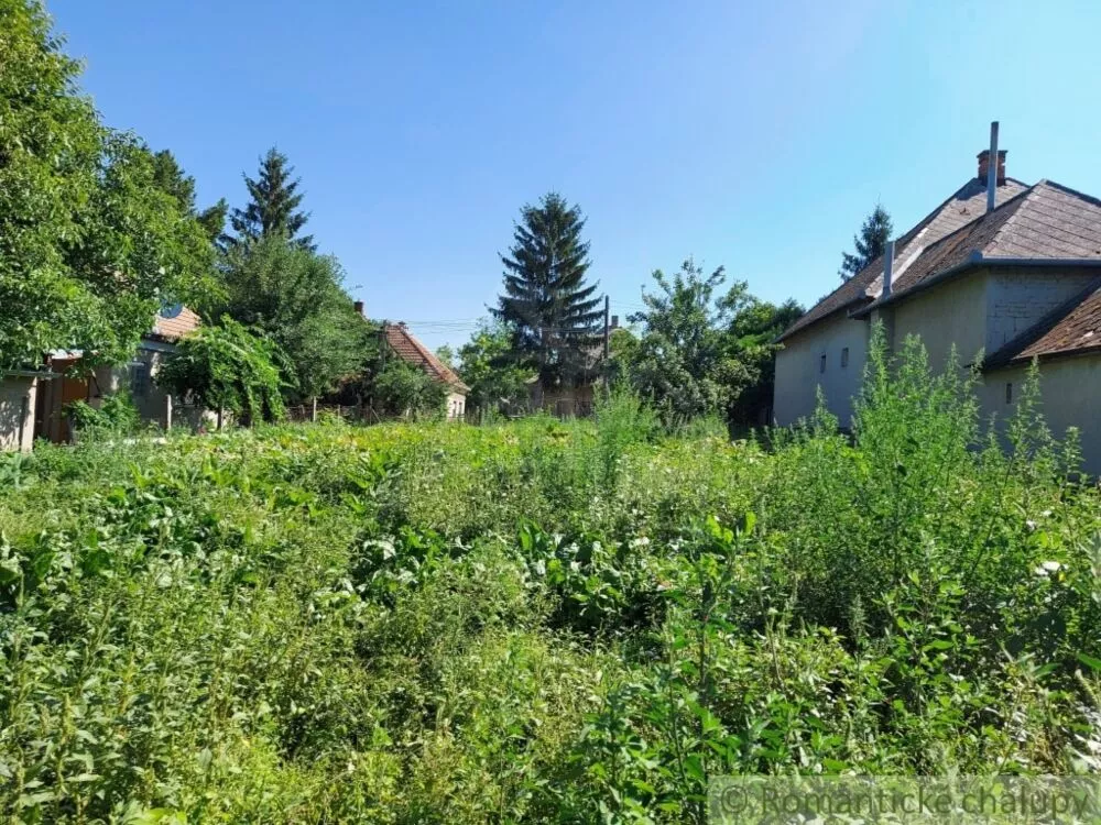 Záhrada na predaj 700m2, Moča, 139855_3