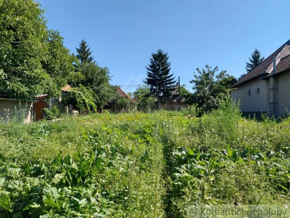 Záhrada na predaj 700m2, Moča, 139855_4