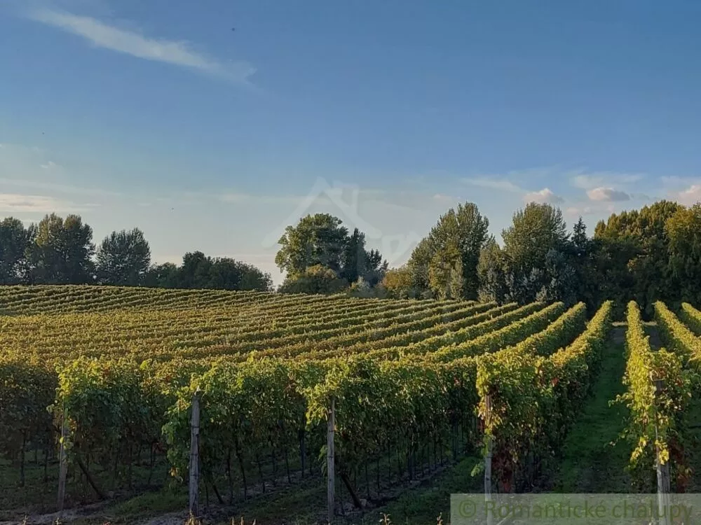 Záhrada na predaj 700m2, Moča, 139855_10