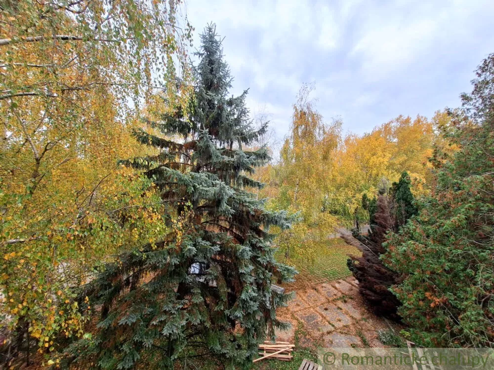 Objekt pre obchod na predaj 960m2, Patince, 146645_4