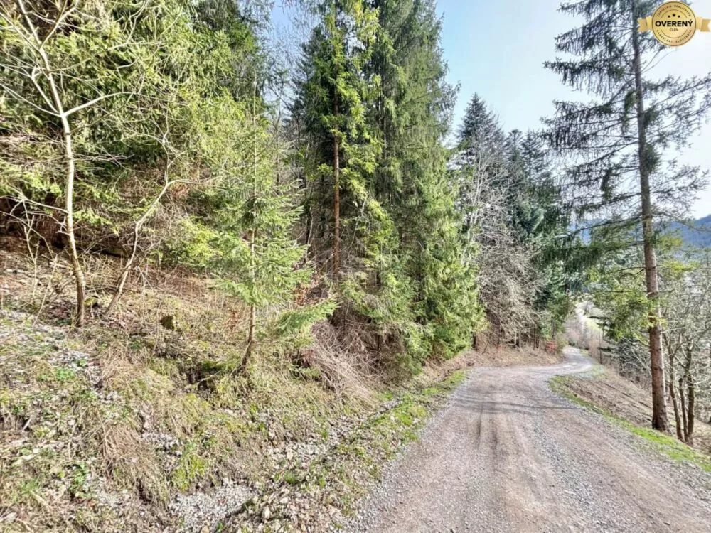 Rekreačný pozemok na predaj 3426m2, Lalíky, Oščadnica, 147673_1