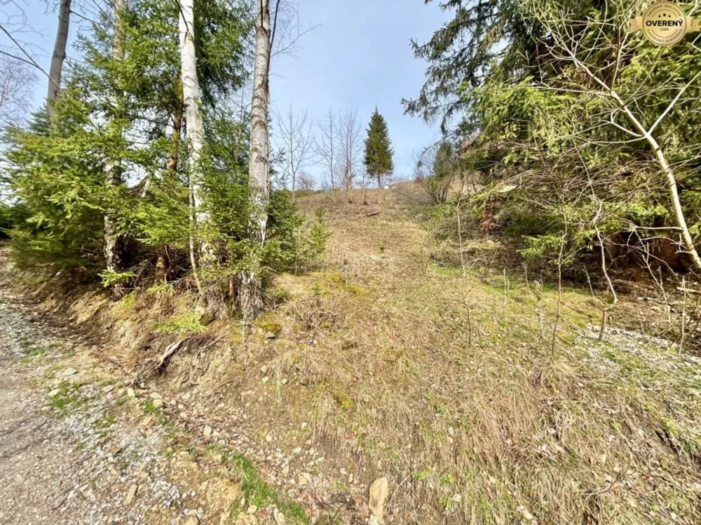 Rekreačný pozemok na predaj 3426m2, Lalíky, Oščadnica, 147673_2