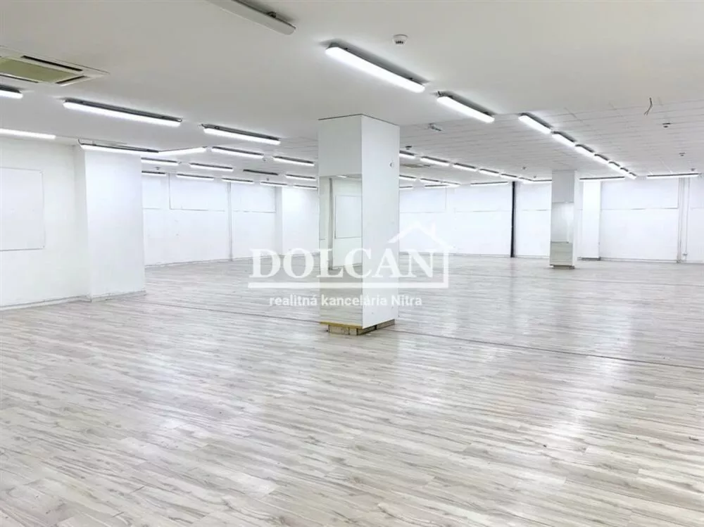 Obchodné priestory na prenájom 2767m2, Štefánikova, Nitra, 142611_3