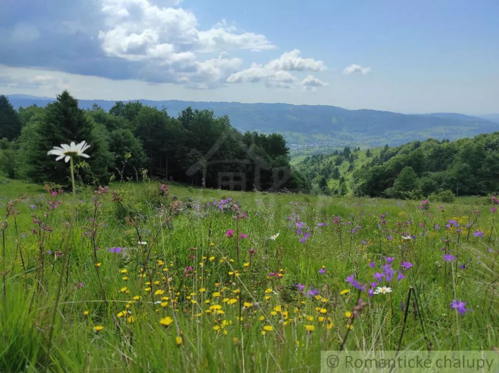 Lúka, pasienok na predaj 15465m2, Hriňová, 139924_0