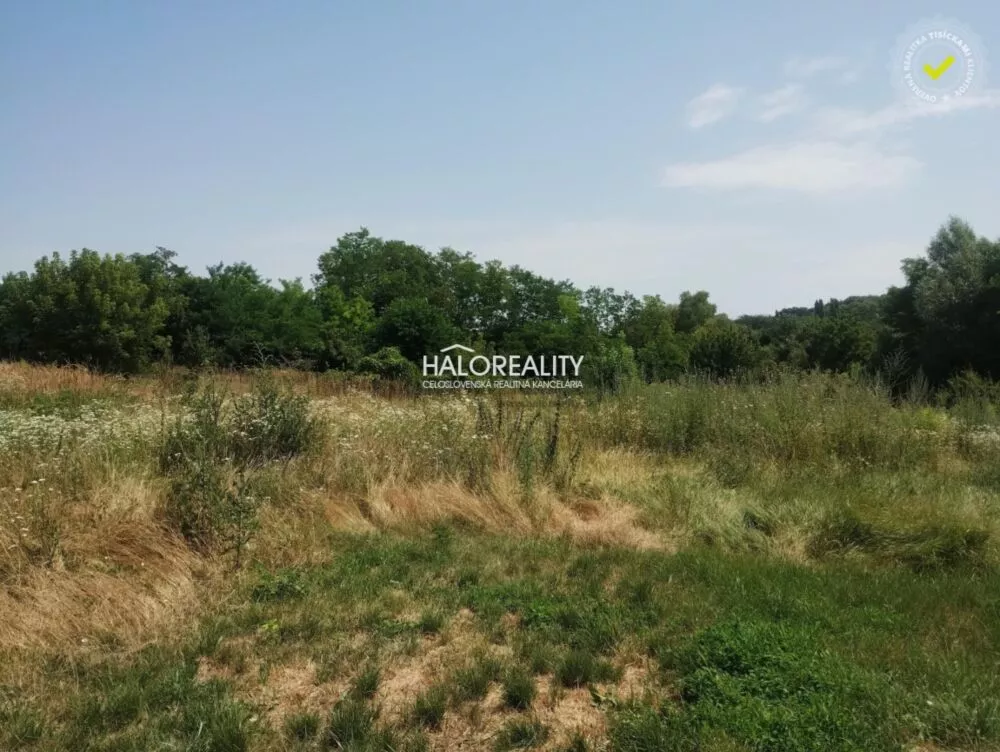 Záhrada na predaj 700m2, Dubník, 149386_1